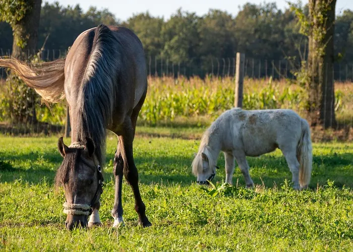 Hotel De Hazelaardij *