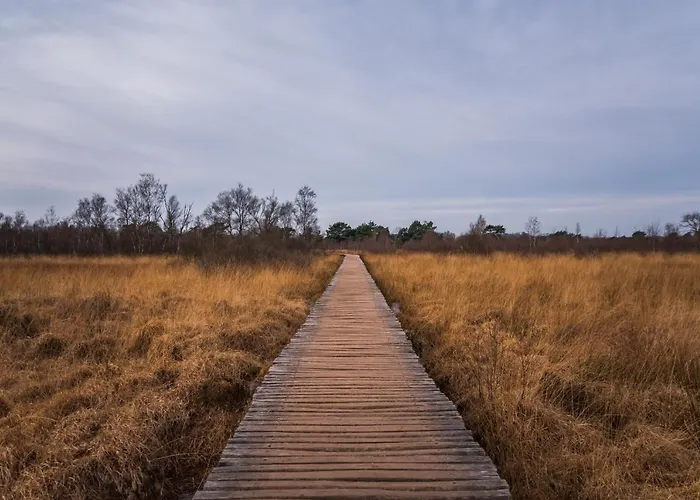 De Hazelaardij Hotel Ospel